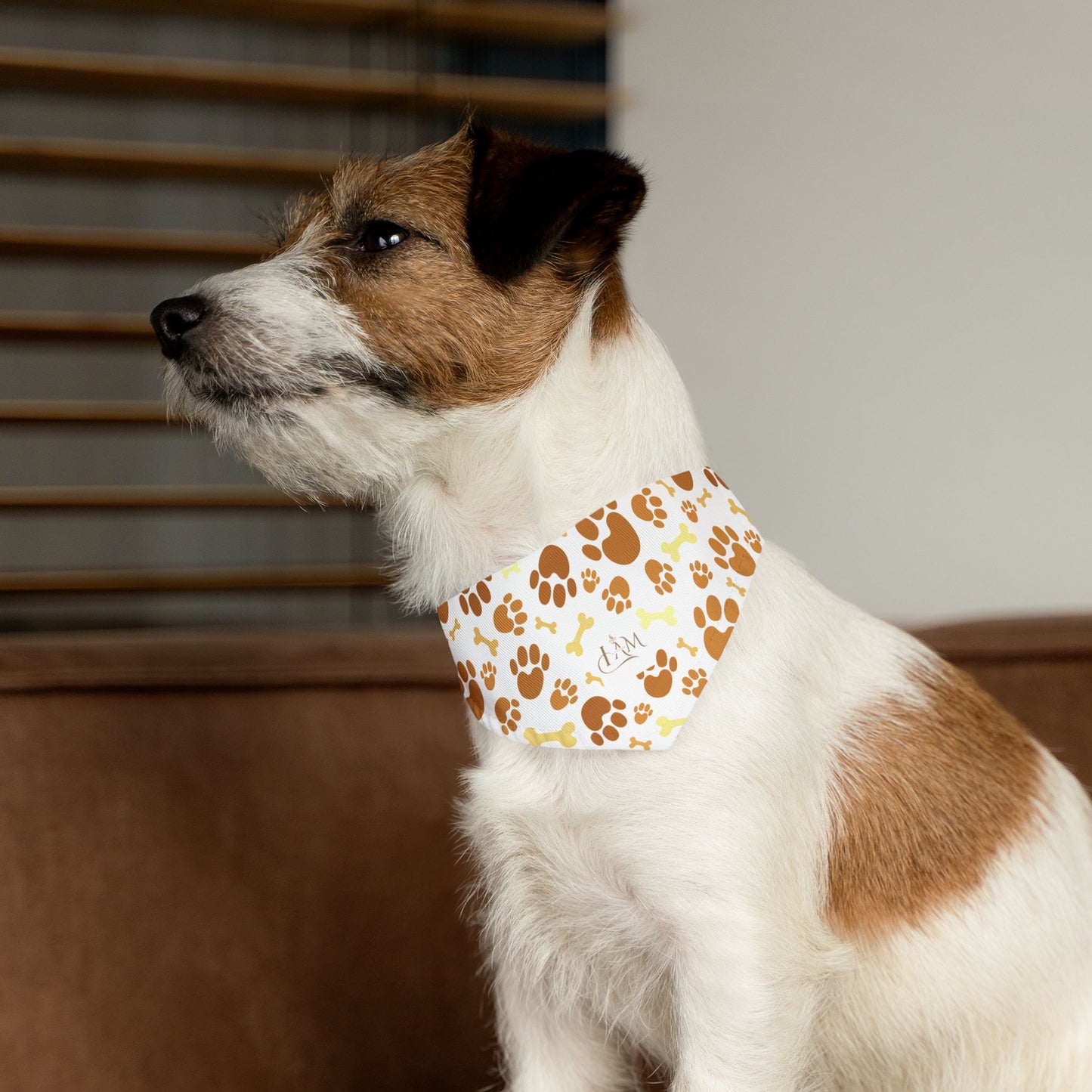 Paws & Personality: The Pet Bandana Collar