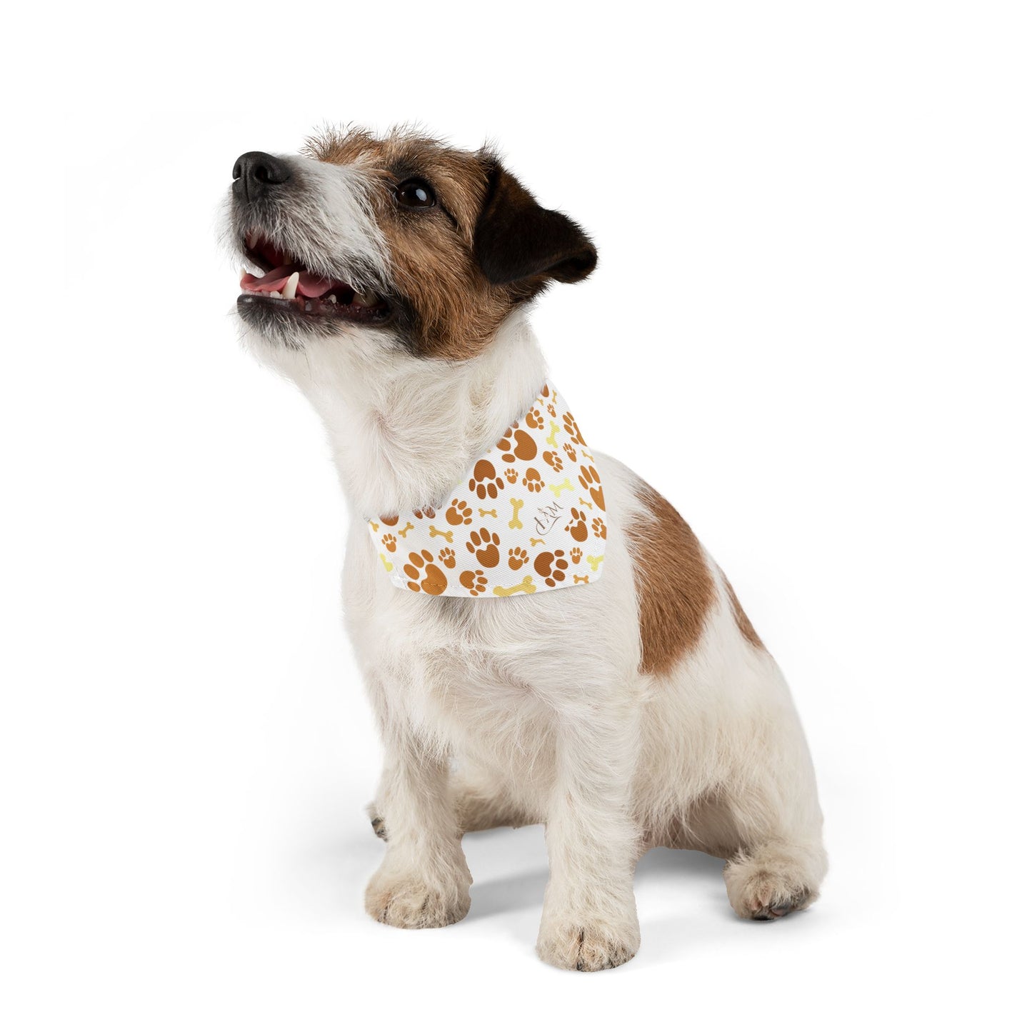 Paws & Personality: The Pet Bandana Collar