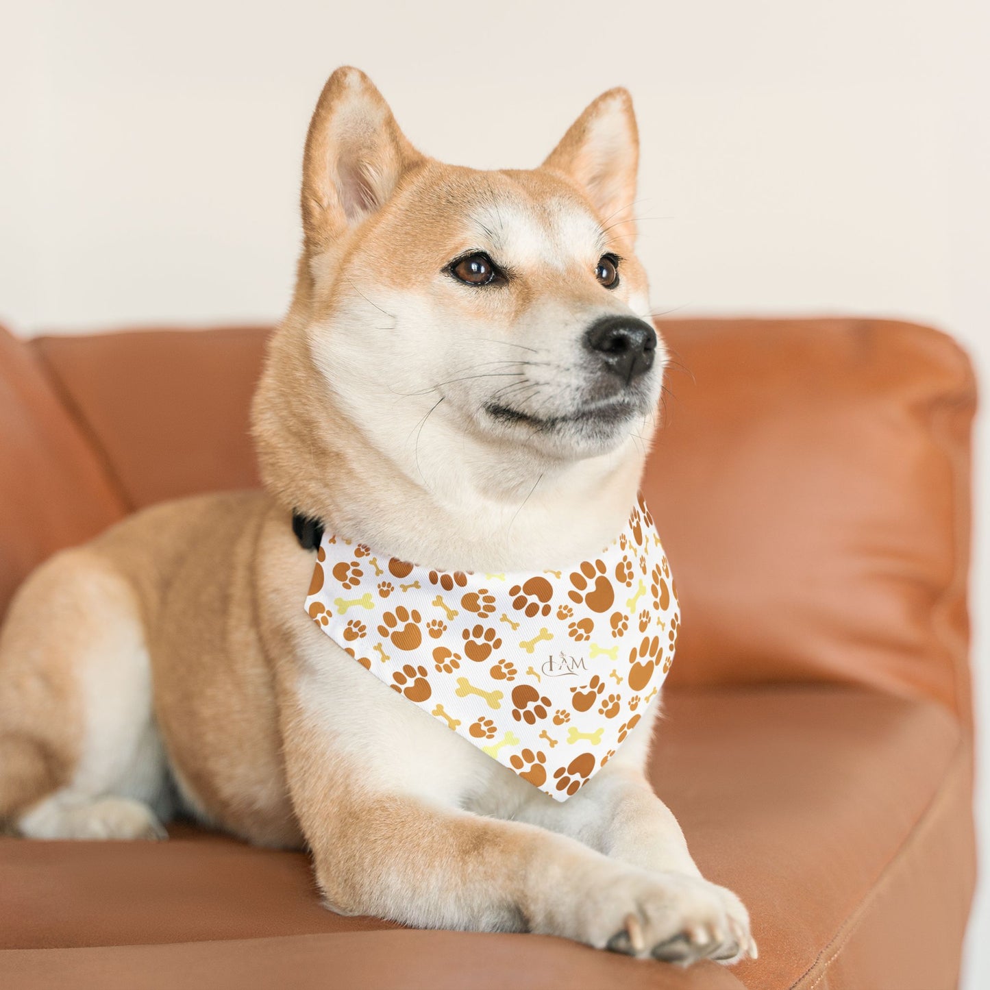 Paws & Personality: The Pet Bandana Collar