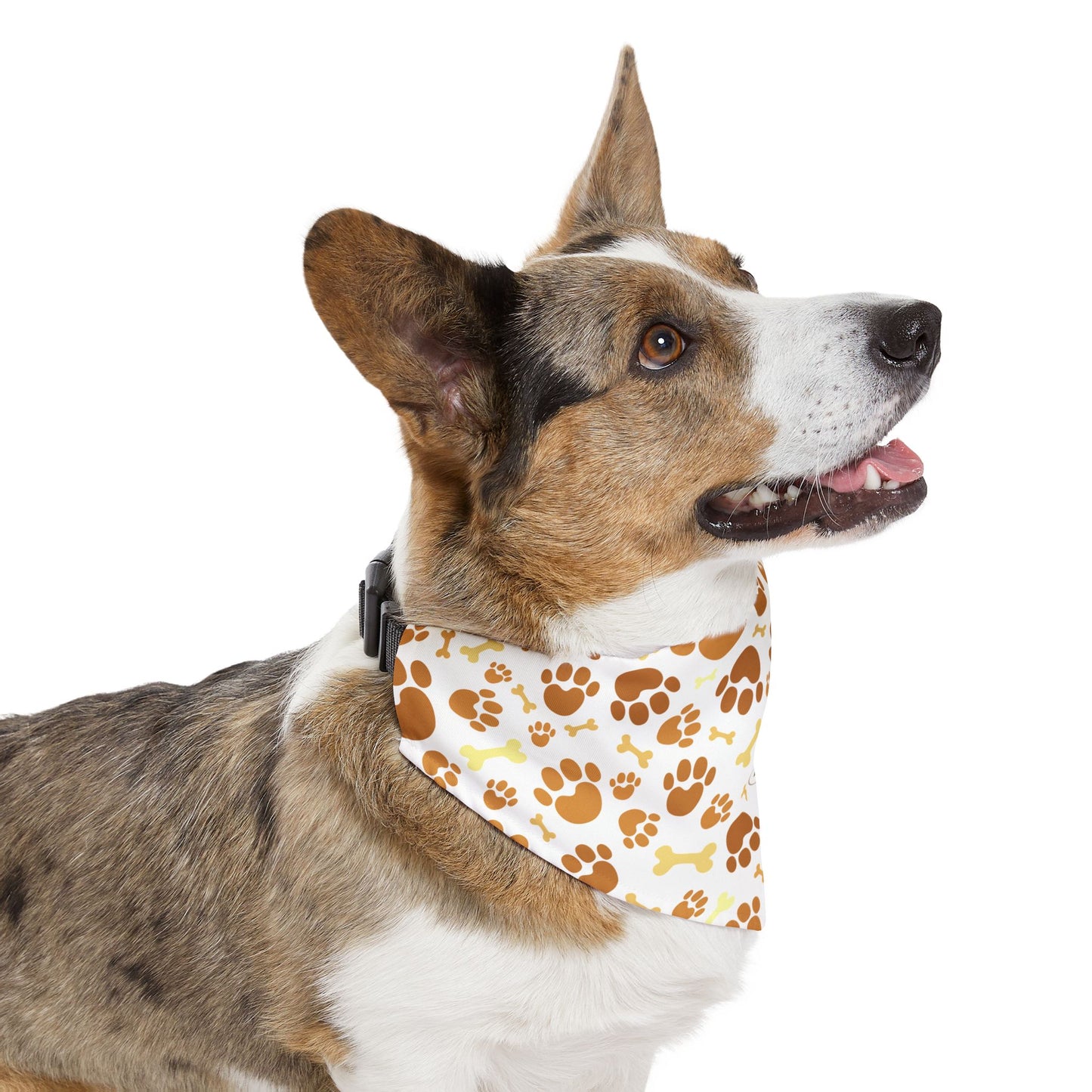 Paws & Personality: The Pet Bandana Collar