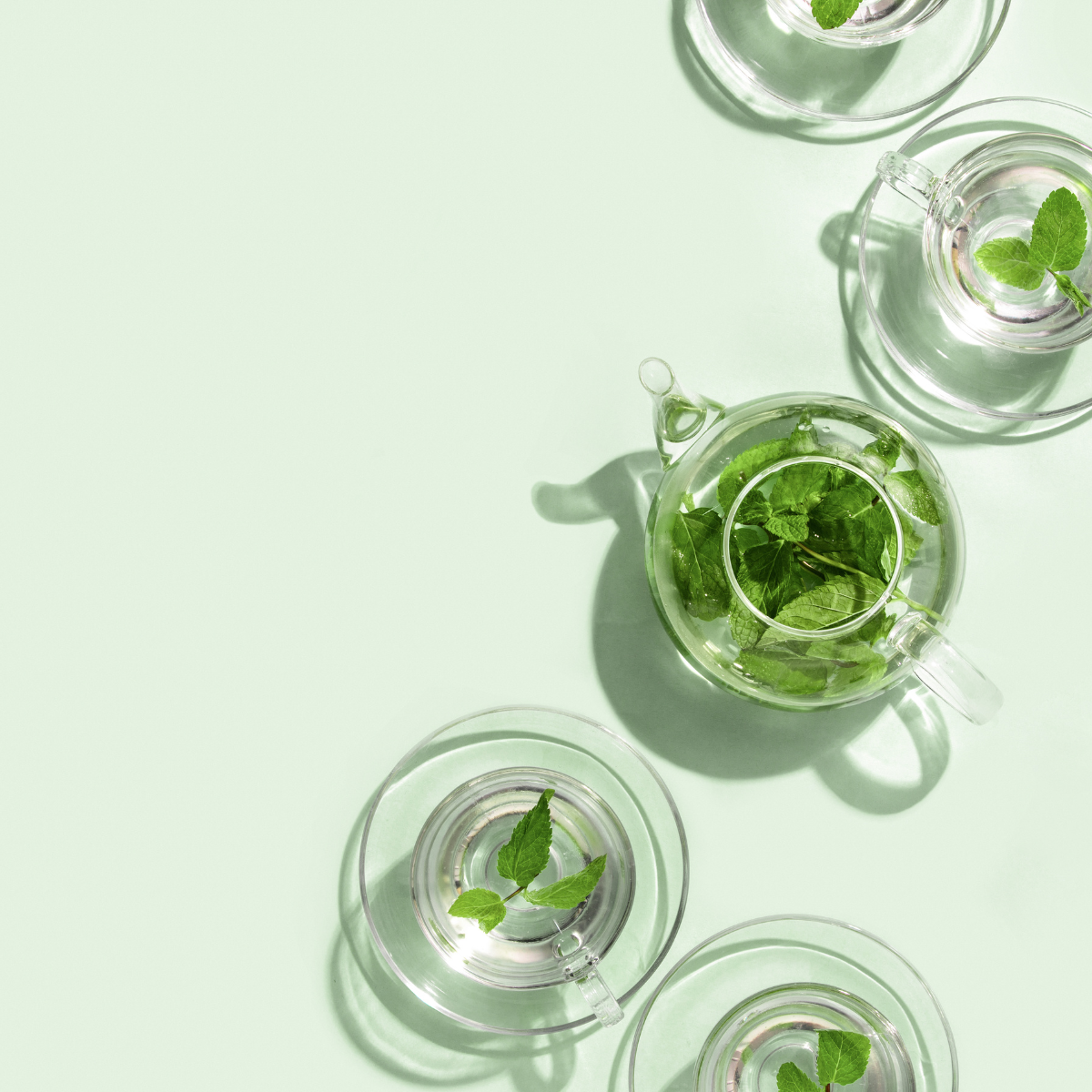 Clear Mint | Tea